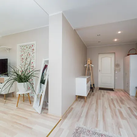 Rueuetli 24-3 *